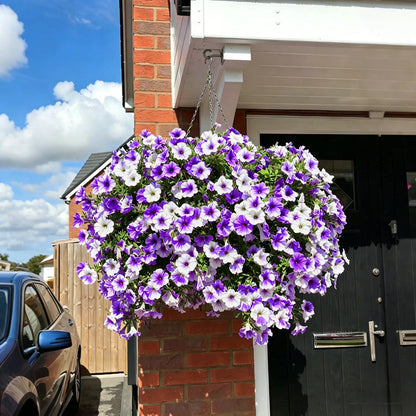🔥LAST DAY 50% OFF🔥UV RESISTANT ARTIFICIAL PETUNIAS FLOWERS