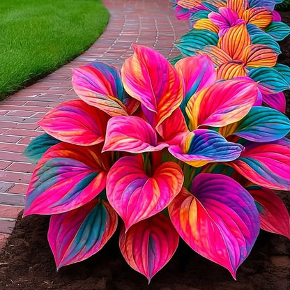 💥LAST DAY SALE 50%OFF🌿Premium Rare Hosta Seeds | 2026 New Arrivals from Los Angeles Flower District